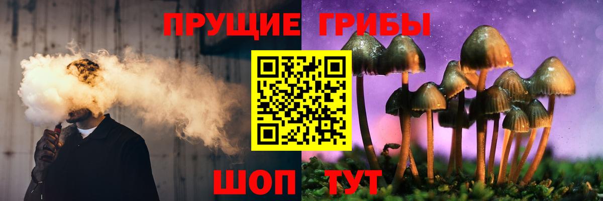 наркотики  Галлюциногенные грибы прущие грибы  Вход с VPN  Городец 